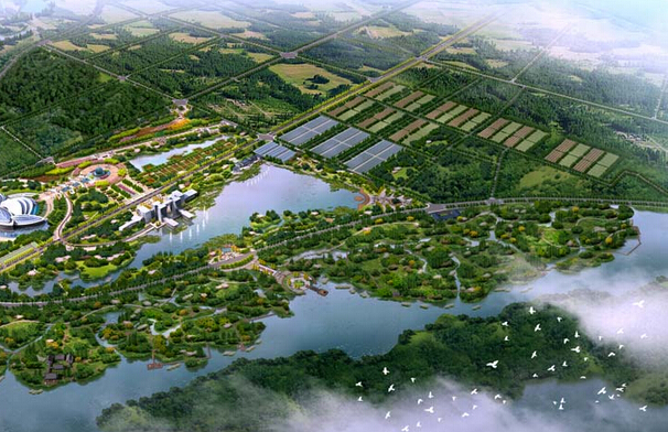 山東東營都市農(nóng)業(yè)戰(zhàn)略策劃
