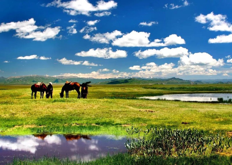 新疆旅游產(chǎn)業(yè)發(fā)展