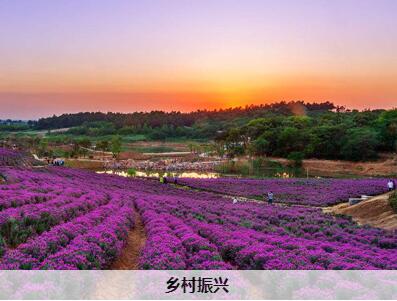 建德不斷創(chuàng)新鄉(xiāng)村治理,全力爭(zhēng)創(chuàng)全省鄉(xiāng)村振興示范區(qū)