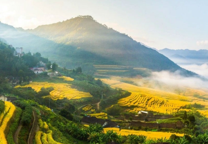 “十五五”時(shí)期高標(biāo)準(zhǔn)農(nóng)田發(fā)展有哪些機(jī)會(huì)?“十五五”時(shí)期高標(biāo)準(zhǔn)農(nóng)田政策 “十五五”時(shí)期高標(biāo)準(zhǔn)農(nóng)田發(fā)展有哪些機(jī)會(huì)?“十五五”時(shí)期高標(biāo)準(zhǔn)農(nóng)田政策