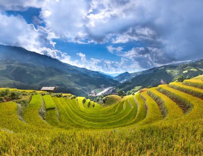 2026年國家現(xiàn)代農(nóng)業(yè)產(chǎn)業(yè)園項(xiàng)目?jī)?chǔ)備申報(bào)指南